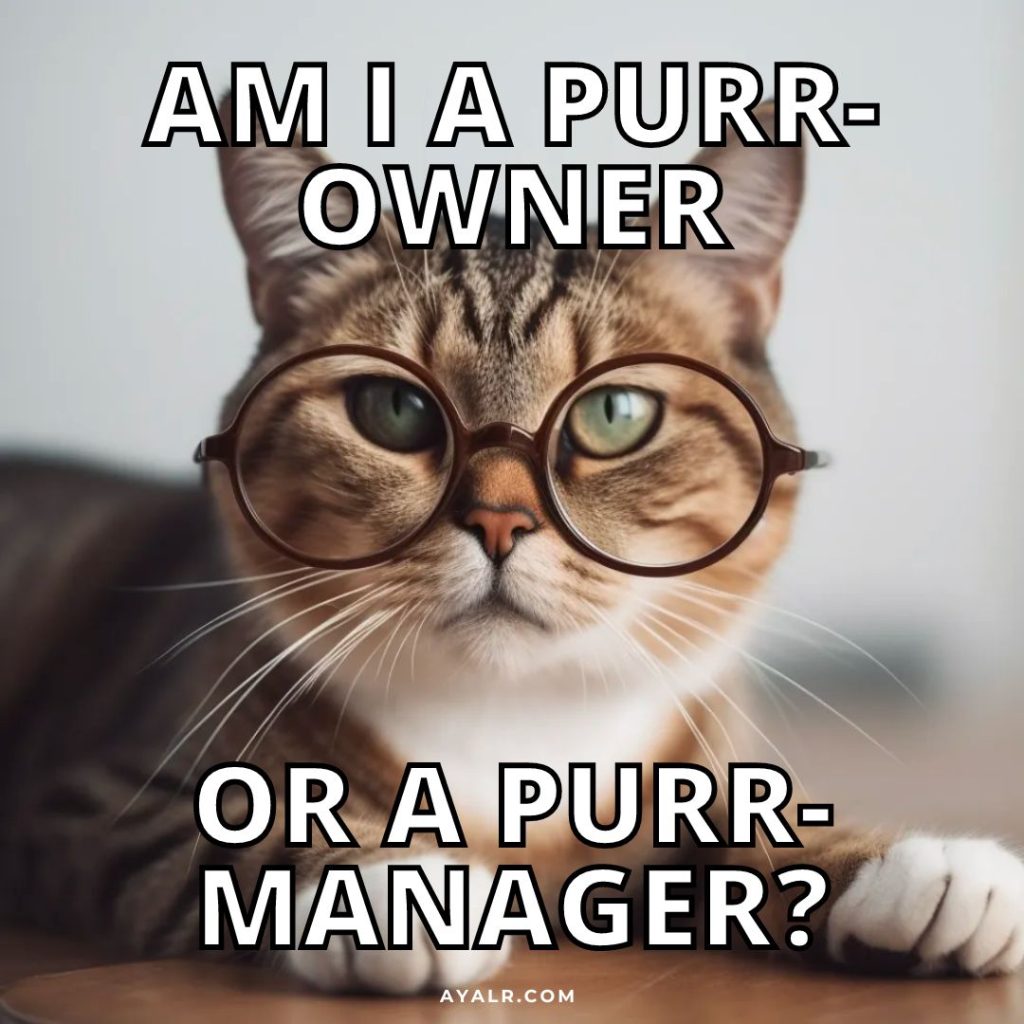 Am I a product owner or a product manager cat meme @ayalr.com